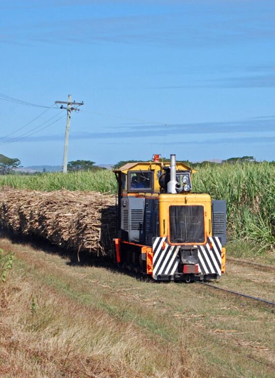 LAUTOKA & VUDA