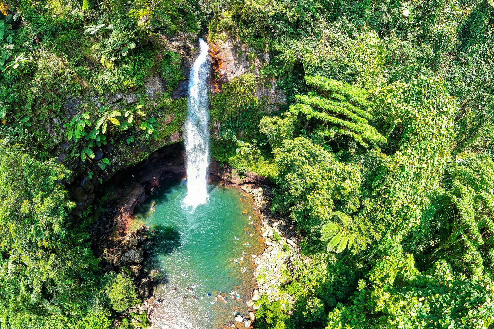 TAVEUNI