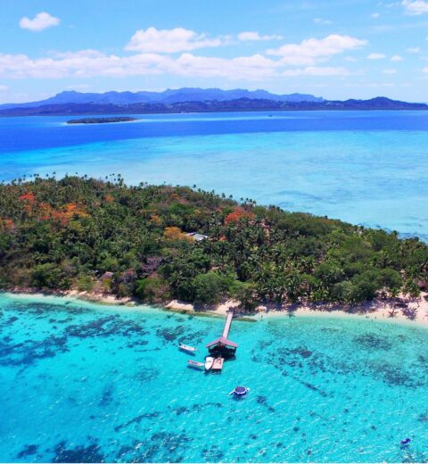 Cruising deals